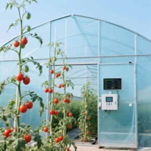greenhouse-power-generation-glass